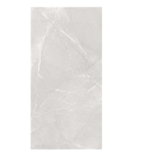 KAMPANYA\60X120N NEO PULPIS GREY POLISHED REC.