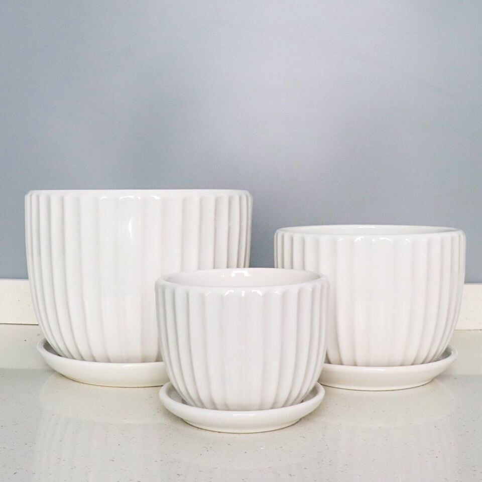 SAKSI TABAKLI BEYAZ BÜYÜK BOY