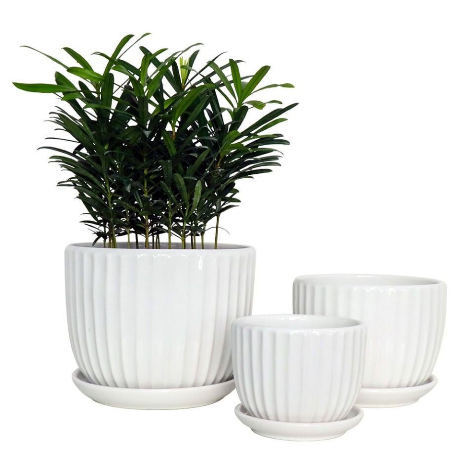 SAKSI TABAKLI BEYAZ BÜYÜK BOY