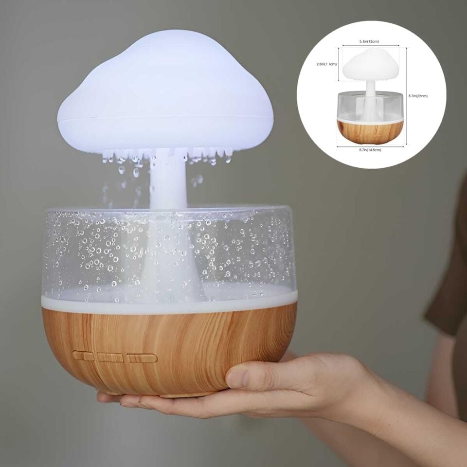 HAVA NEMLENDİRİCİ YAĞMUR BULUTU DESEN 260ML