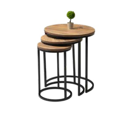 SEHPA ZİGON 3LÜ DÜNYA DİŞ BUDAK