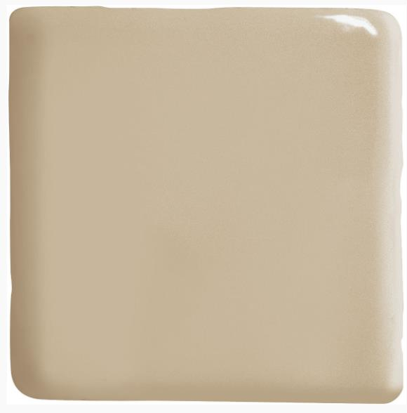 OUTLET/10X10 OPULENTO BISCOTTI