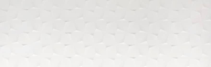 OUTLET/13X33 PARADISE VEGA WHITE