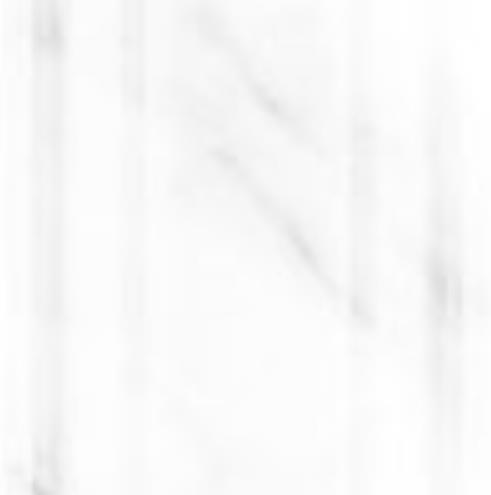 OUTLET/33X99 CALACATTA WHITE SOULMATE