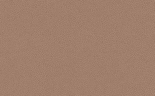 OUTLET/25X40 ARMADA BROWN VISION MEDALLION