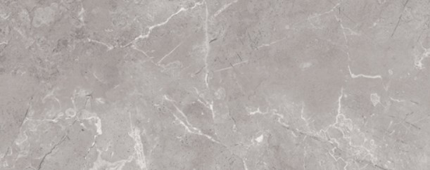 OUTLET/20X50 CHAMPION ANTRASIT