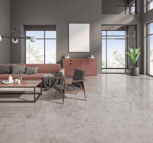 OUTLET/20X50 CHAMPION ANTRASIT