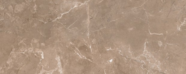 OUTLET/20X50 CHAMPION CAPUCCINO