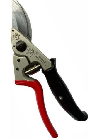 BUDAMA MAKASI BAĞ KALIN DAL