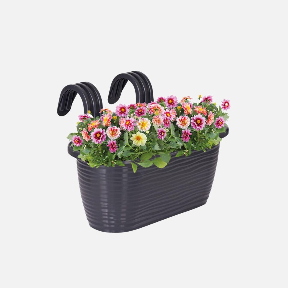 SAKSI BALKON CAMELLIA TOMBİK ANTRASİT NO2