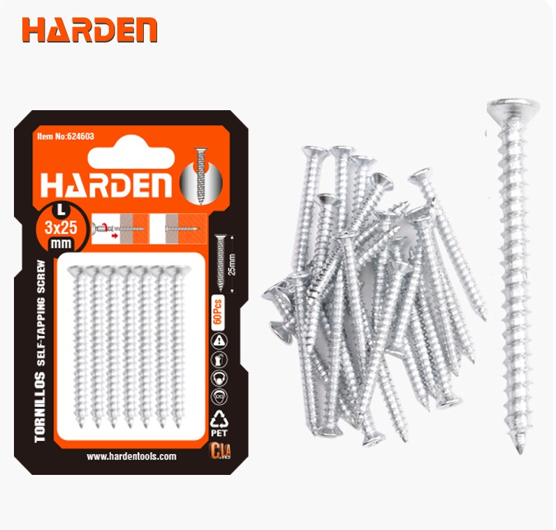 ALÇIPAN VİDASI MATKAPUÇ HAVŞA BAŞ 3x25mm 60PRC