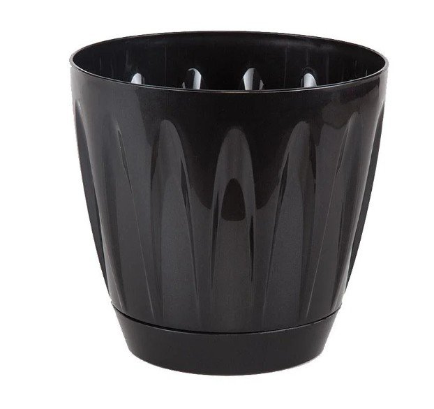 SAKSI YUVARLAK PAPATYA SİYAH NO2 1,5LT