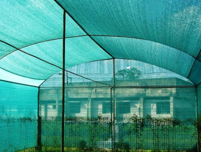 GÖLGELEME AĞI %95 2MTx50MT/RULO (1mt=2M2) TP