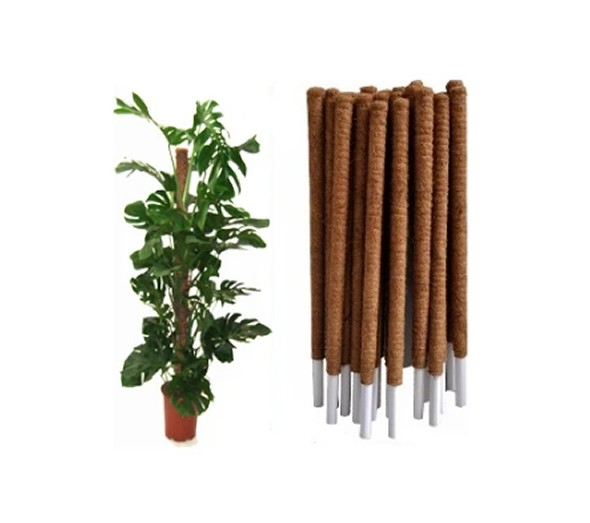 BİTKİ SARMAŞIK ÇUBUĞU KOKO 80CM