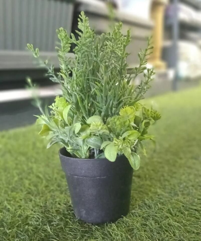 YAPAY BİBERİYE KARIŞIK SAKSILI 20CM