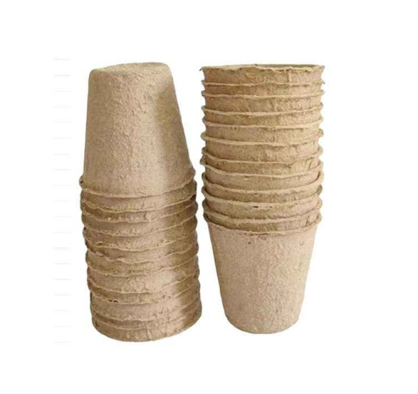 FİDELEME SAKSISI 12AD  BİYOBOZUNUR