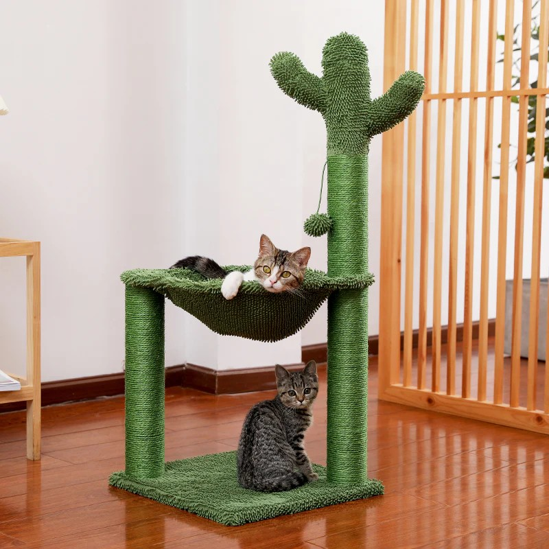 KEDİ TIRMANMA TIRMALAMA KAKTÜS AĞACI