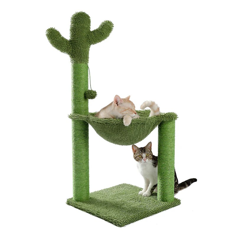 KEDİ TIRMANMA TIRMALAMA KAKTÜS AĞACI