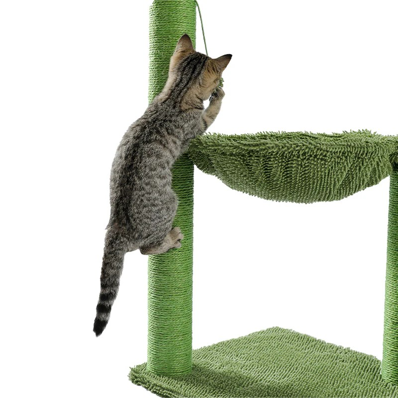 KEDİ TIRMANMA TIRMALAMA KAKTÜS AĞACI