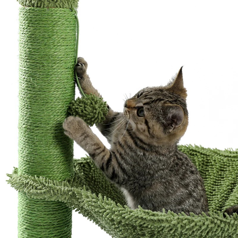 KEDİ TIRMANMA TIRMALAMA KAKTÜS AĞACI