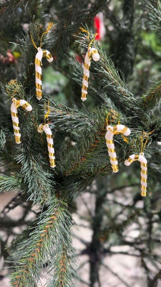 ŞEKER BASTON 6LI ASILI BEYAZ ÇİZGİLİ KISA