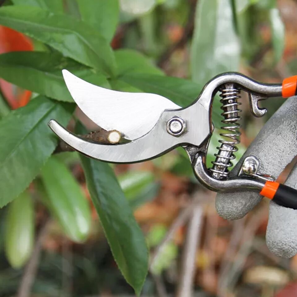 BUDAMA MAKASI 210MM TP