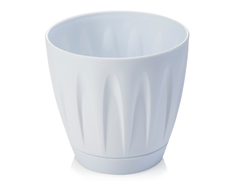 SAKSI YUVARLAK PAPATYA BEYAZ NO7 46LT