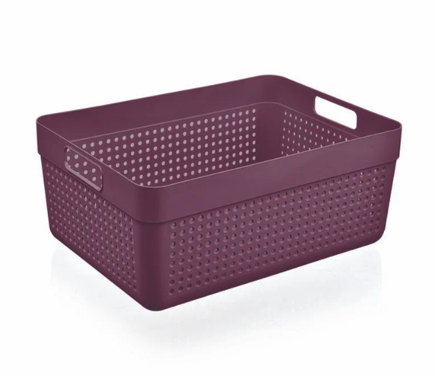 NET/DÜZENLEYİCİ TERRA 10LT