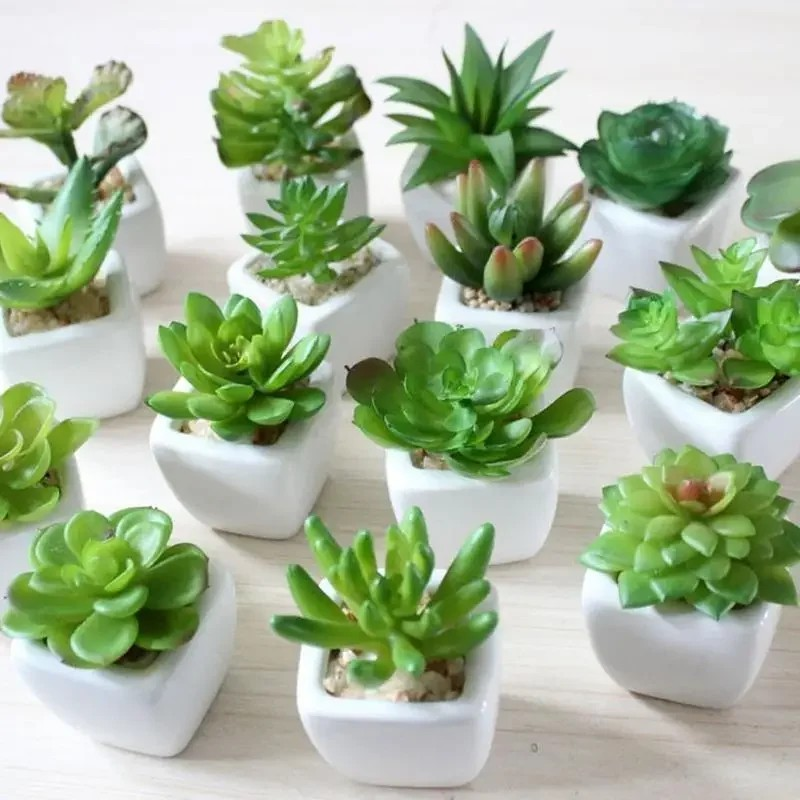 YAPAY ÇİÇEK SUKULENT MİNİ SAKSI 6CM TP