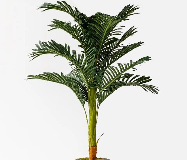 YAPAY BİTKİ ZAMIA BÜYÜK YAPRAK 110CM TP