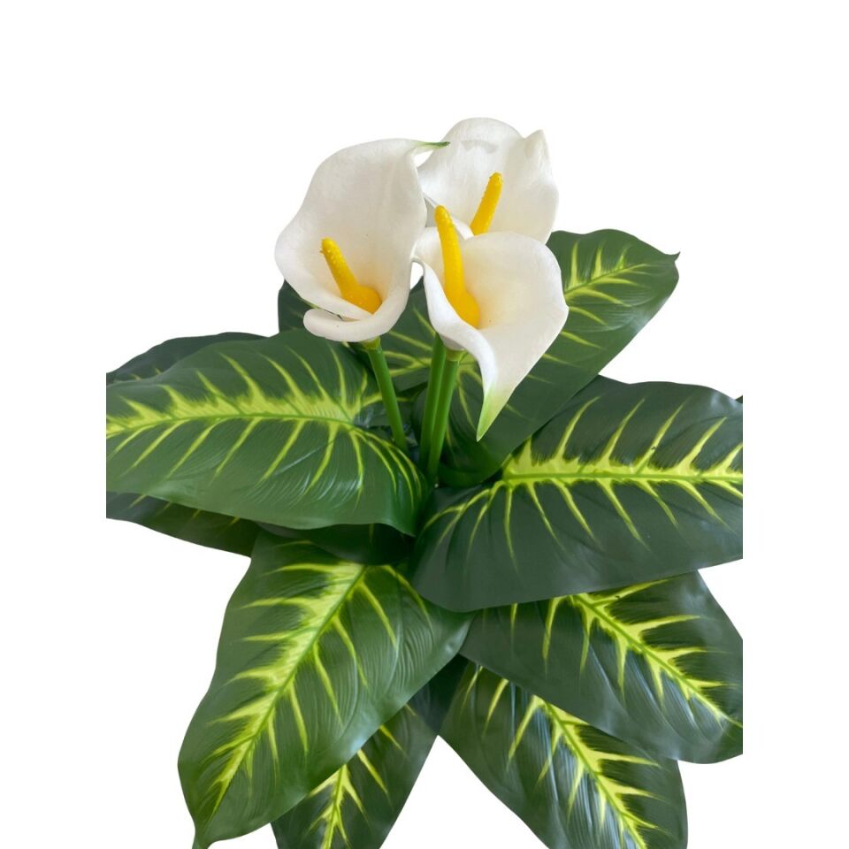 YAPAY BİTKİ DİFENBAHYA 3 ÇİÇEK TP