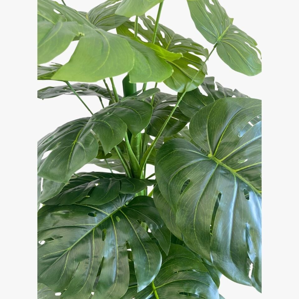 YAPAY BİTKİ DEVE TABANI GÖVDELİ TP