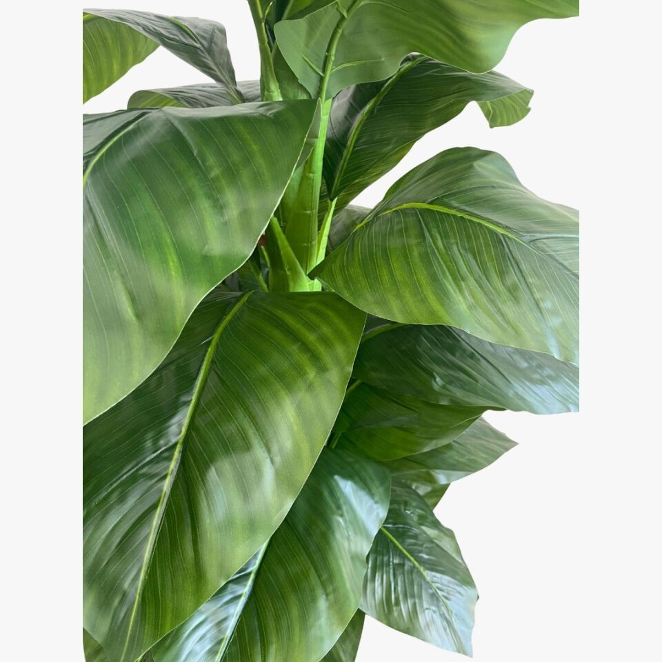 YAPAY BİTKİ KEMAN KAUÇUK BÜYÜK YAPRAK TP