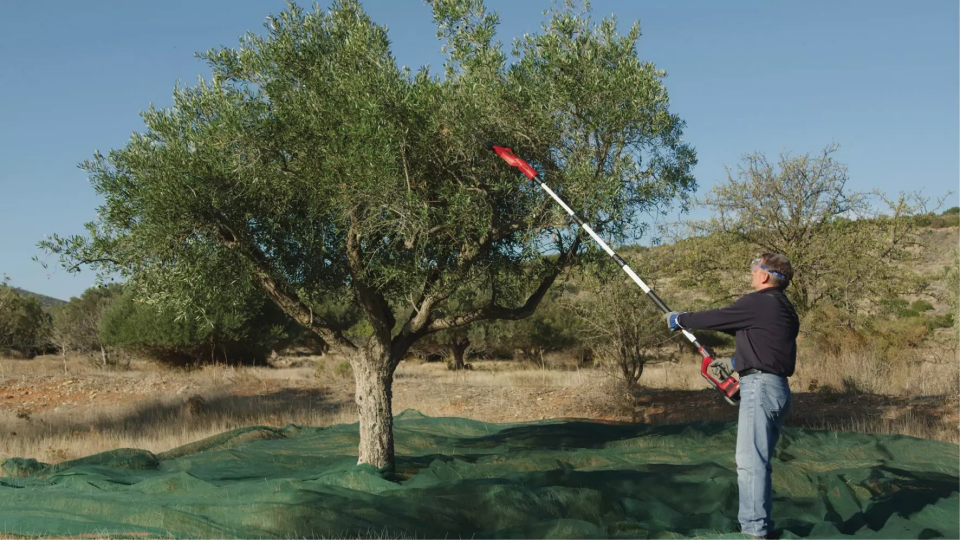 AKÜLÜ ZEYTİN SİLKME GE-FS 18/53 Li - Solo 18V