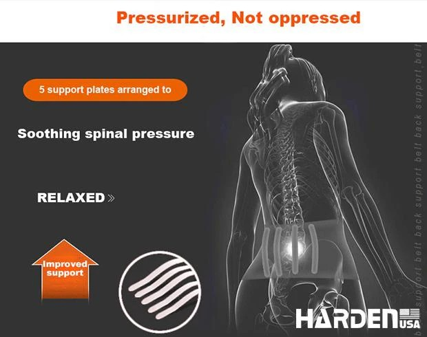 SIRT DESTEK KEMERİ KORSE (M)