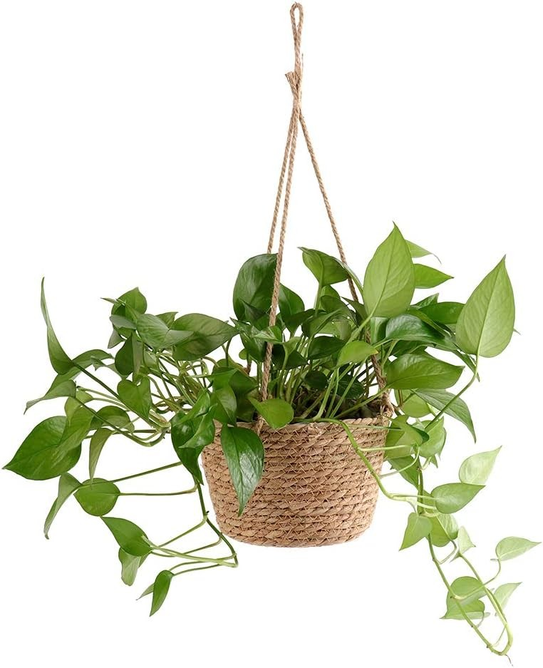 HASIR SEPET ASKILI DEKORATİF