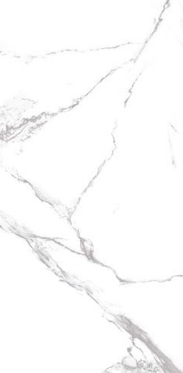 60X120N NEO CALACATTA SILVER FULL POLISH REK