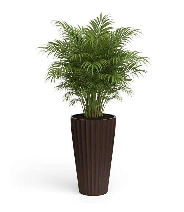 SAKSI VAZO TK. LİLYUM NO1 SİYAH