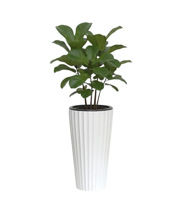 SAKSI VAZO TK. LİLYUM NO1 BEYAZ