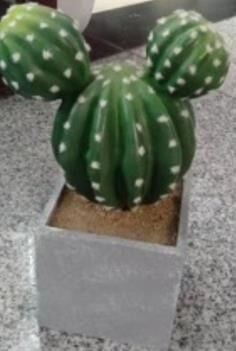 BİTKİ YAPAY SAKSILI KAFA KAKTÜSÜ