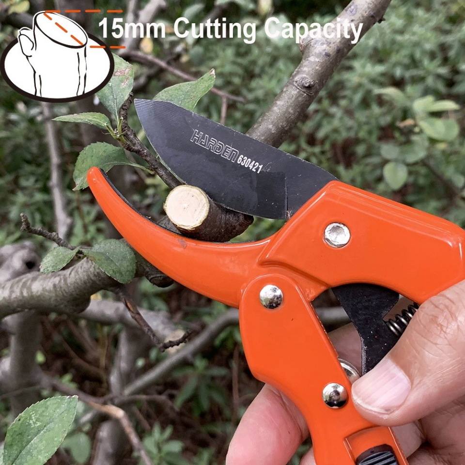 BUDAMA MAKASI ÖRSLÜ PAPAĞAN 8''