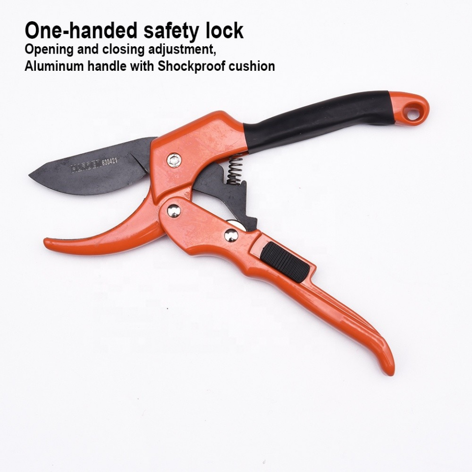 BUDAMA MAKASI ÖRSLÜ PAPAĞAN 8''