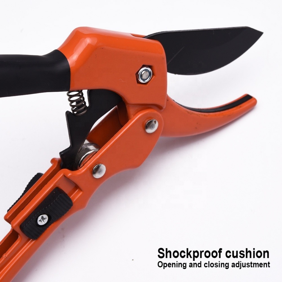 BUDAMA MAKASI ÖRSLÜ PAPAĞAN 8''