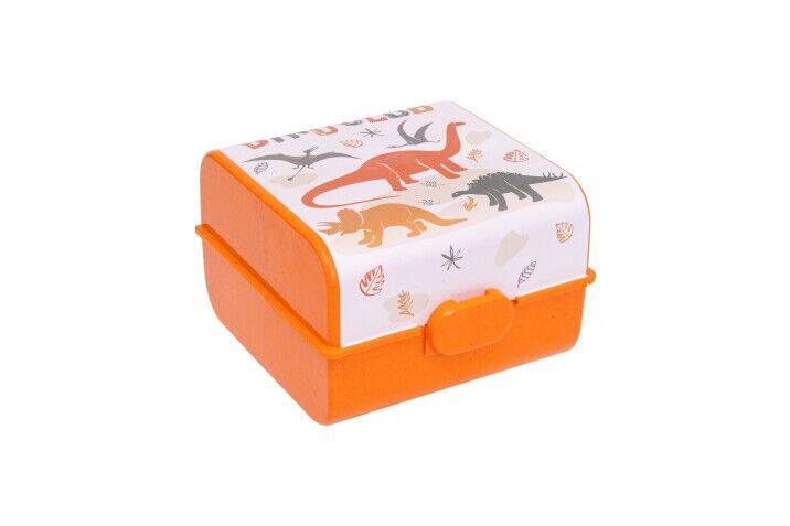 BESLENME KUTUSU VE PİPETLİ MATARA DESENLİ 610 ML