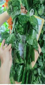 SARMAŞIK UZUN TEK YAPRAKLI 12AD/PAKET