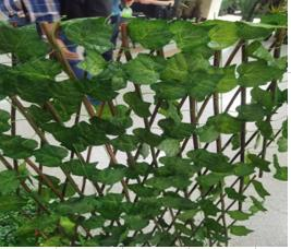 YAPAY BİTKİ ÇUBUKLU ÇİT AKORDIYON TP