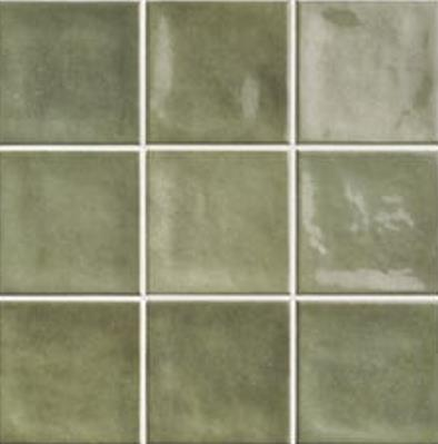 CHAOUEN FON FOREST 20X20 (1M²)(M-152)