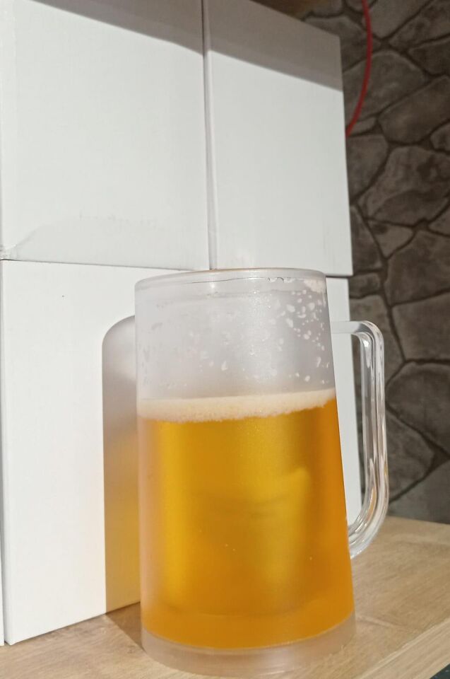 BARDAK BİRALI İKİ KATMANLI 350 ML