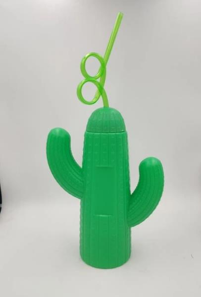 SULUK PİPETLİ KAKTÜS BÜYÜK