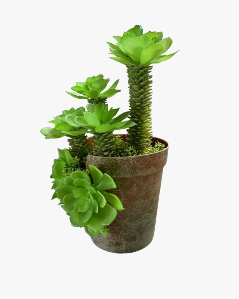 YAPAY ÇİÇEK SUKULENT BÜYÜK YAPRAK SAKSI 31CM